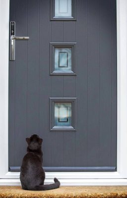 Blu_Safe-Origin-Smart_door_cat